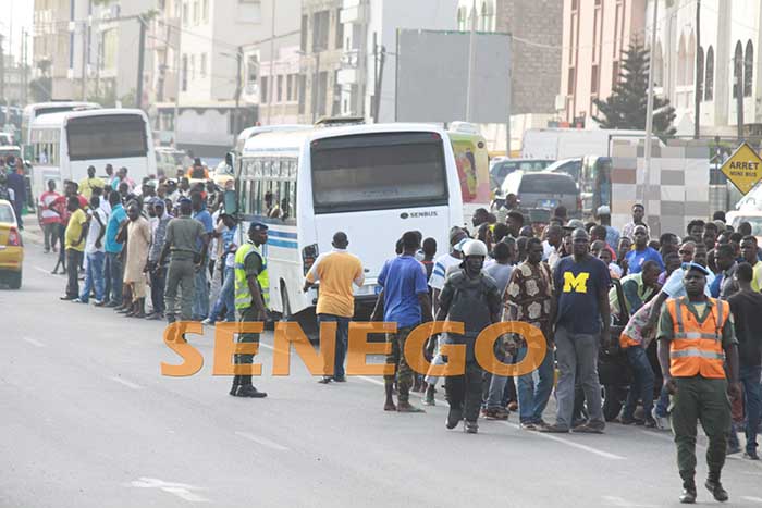 transport-greve-usagers-12