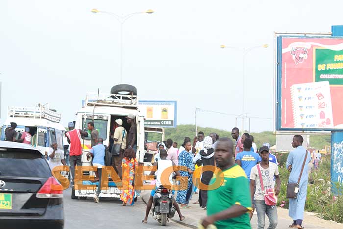 transport-greve-usagers-15