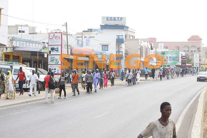 transport-greve-usagers-19