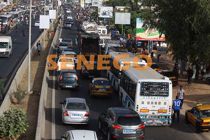 transport-greve-usagers-2