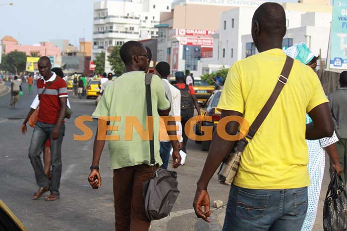transport-greve-usagers-7