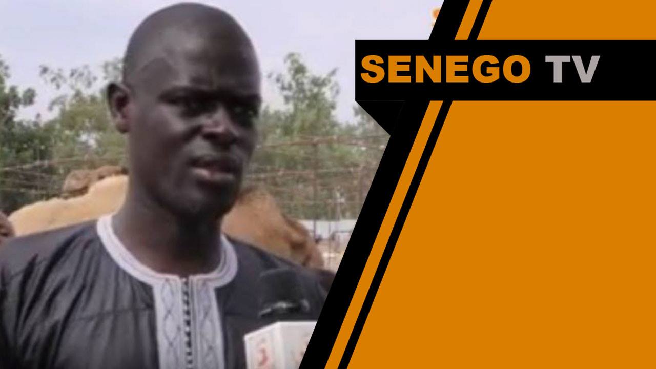 Senego Tv: Omaro et Ibrahima Diagne en mode Magal. Regardez!