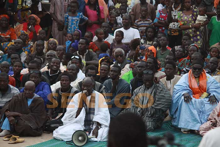 macky-a-touba-23