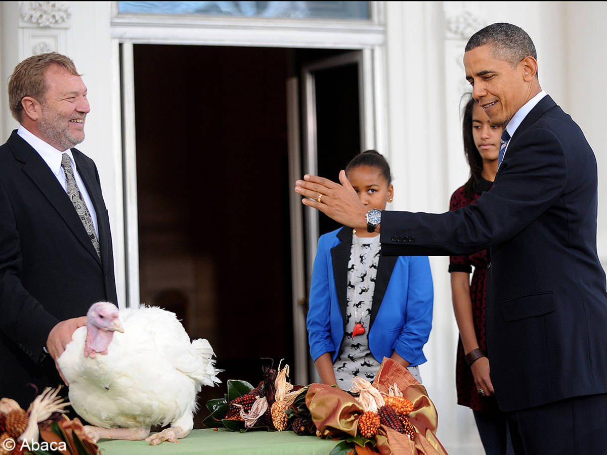 parce-que-la-dinde-ca-se-coupe-comme-ca