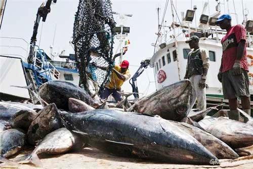 Oumar Gueye propose une coalition mondiale contre la pêche illicite