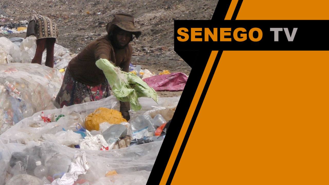 Senego TV – Incendie à Mbeubeuss : Récupérateurs et autorités municipales s’expliquent… Regardez