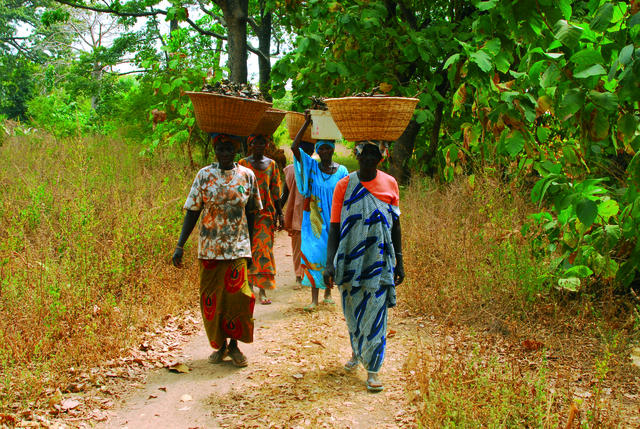 2016 : Cap maintenu pour le désenclavement de la Casamance