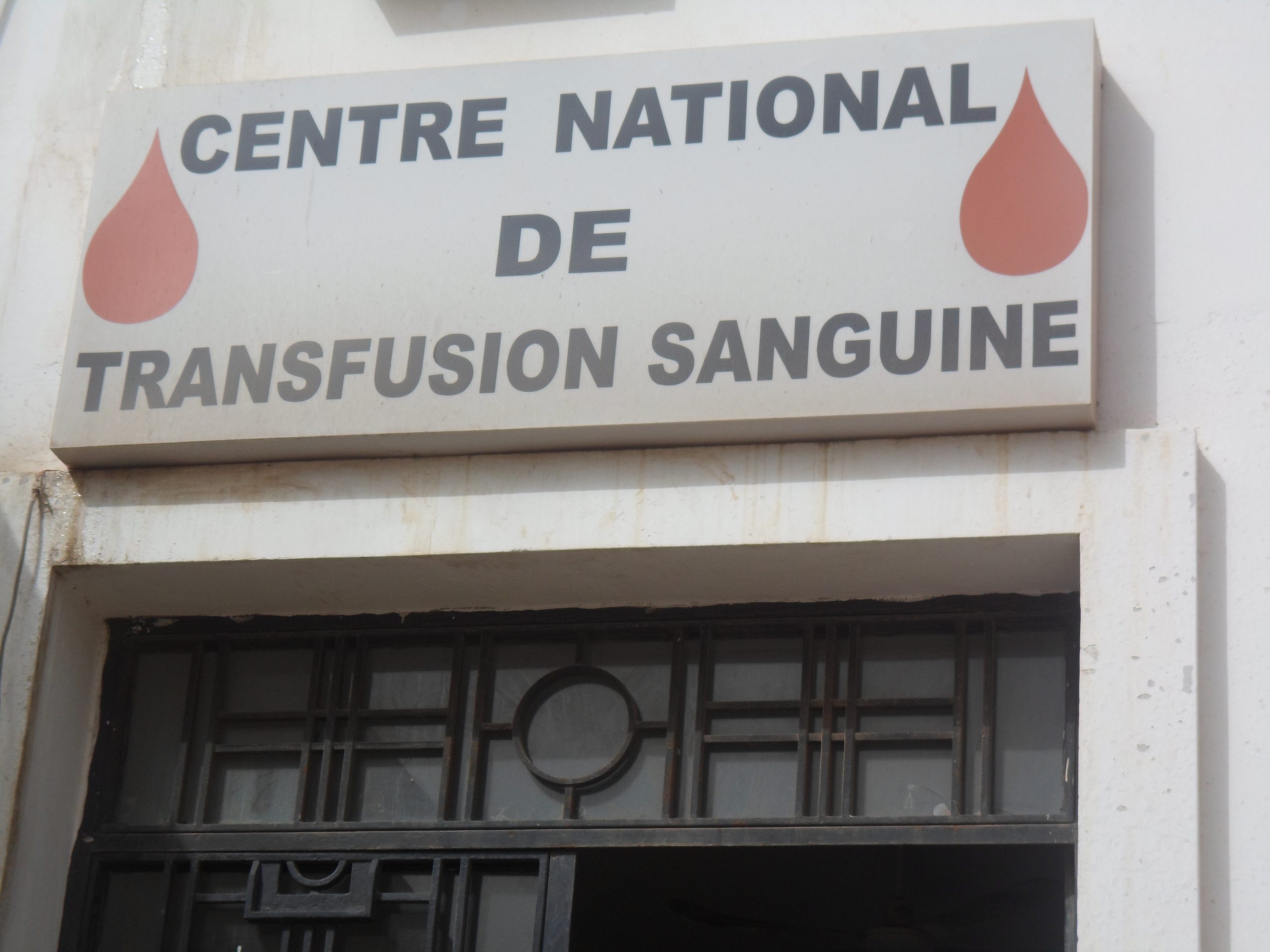Pourquoi Awa Marie Coll Seck sera obligée d’adopter le droit à la vente de sang humain. Par Serigne Babacar Dieng