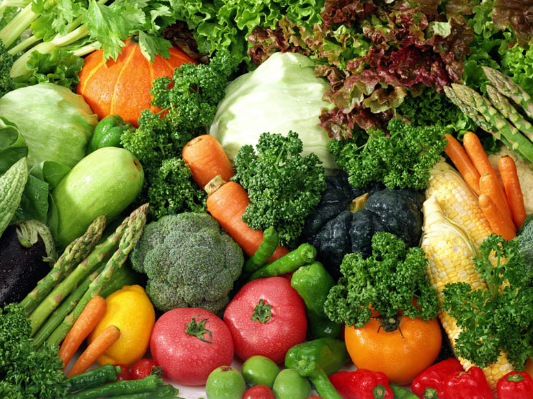 Campagne horticole : Bilan satisfaisant pour 2016