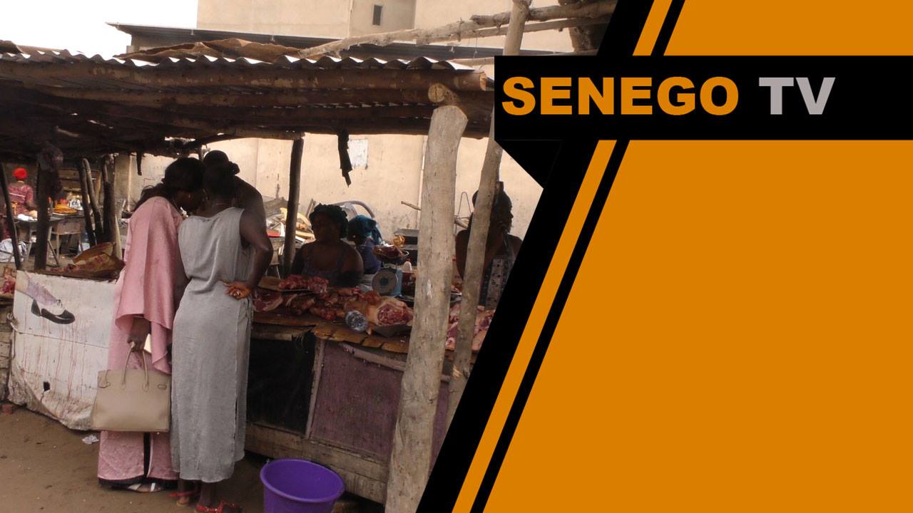 Senego TV: les vendeurs de porcs demandent à être subventionnés comme les autres secteurs. Regardez