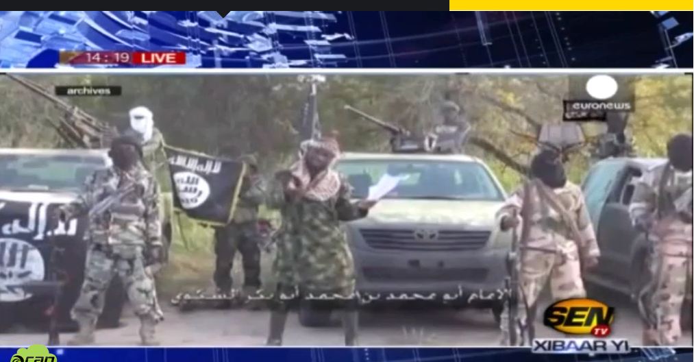 Vidéo- Niger: Une trentaine de combattants de Boko Haram déposent les armes et se sont rendus aux autorités …Regardez !