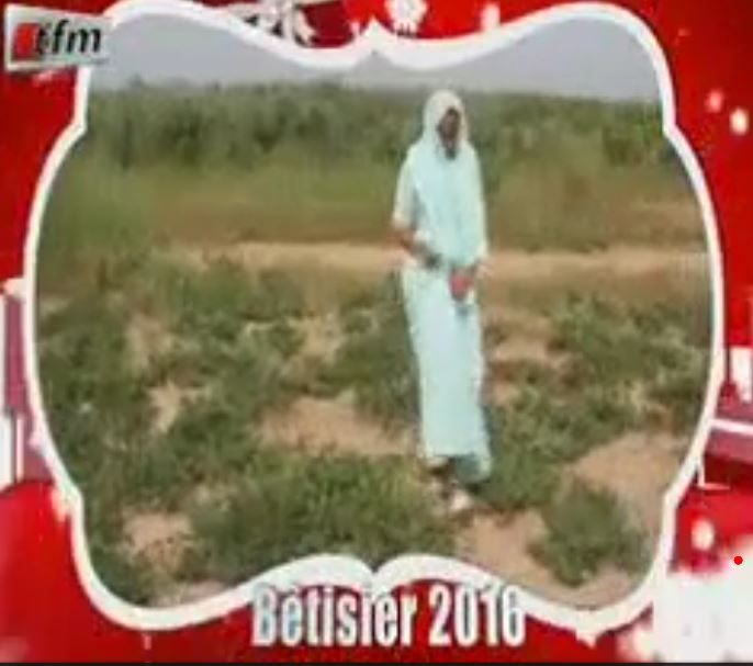 Vidéo – La deuxième partie du bêtisier de la tfm en 2016 – Regardez !