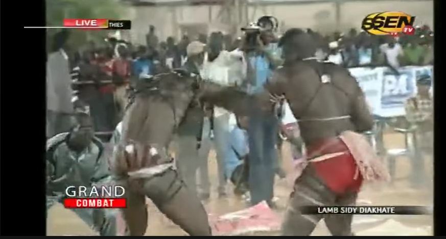 Vidéo-Regardez le combat de gladiateurs entre le frère de Lac Rose et celui de Modou Anta…