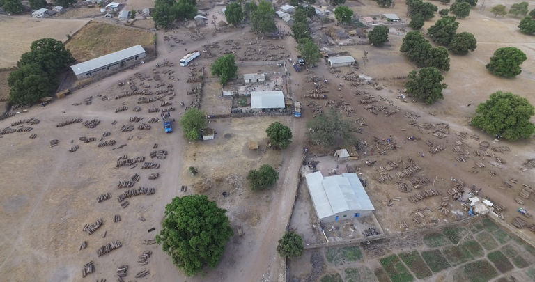 Lutte contre la désertification et la sécheresse : Le Sénégal s’est fixé des objectifs