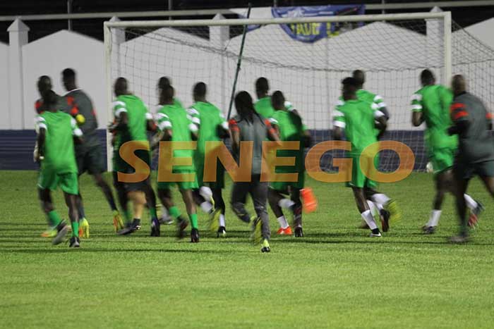 Images Galop Dentrainement Des Lions Apr S Le Match Contre Le Zimbabwe