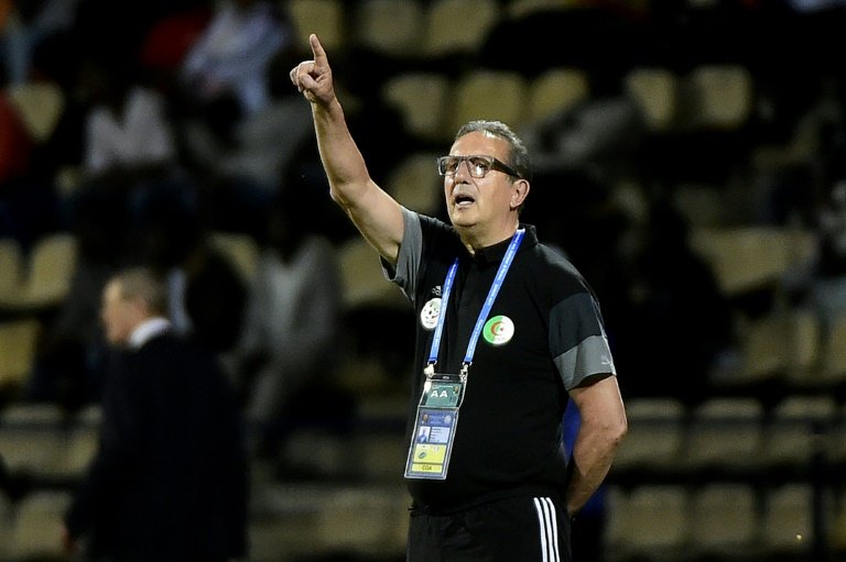 CAN: le sélectionneur de l’Algérie Leekens démissionne, débat sur les coachs étrangers relancé