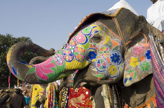 Dakar va accueillir le premier Festival de l’Inde