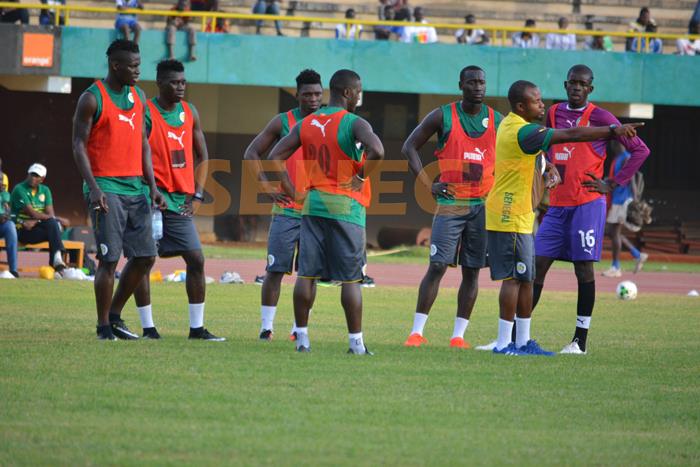 Les Lions arrivés à Brazza depuis hier