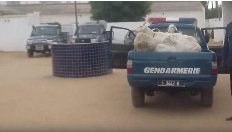 Audio- Ndoye Bane : « un voleur de moutons équipé d’un 4×4 a été arrêté par les agents de la GIGN… »