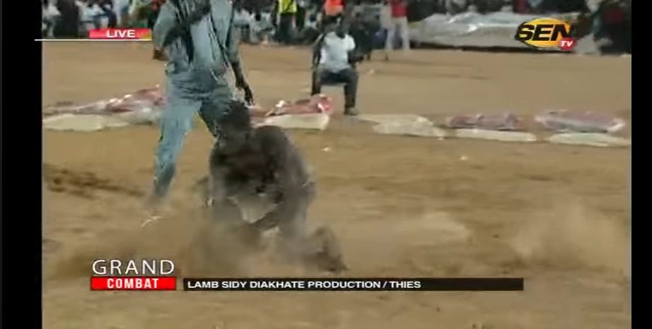 Vidéo- Marley donne une belle leçon de lutte à Modou Anta 2 en quelques secondes… Regardez !