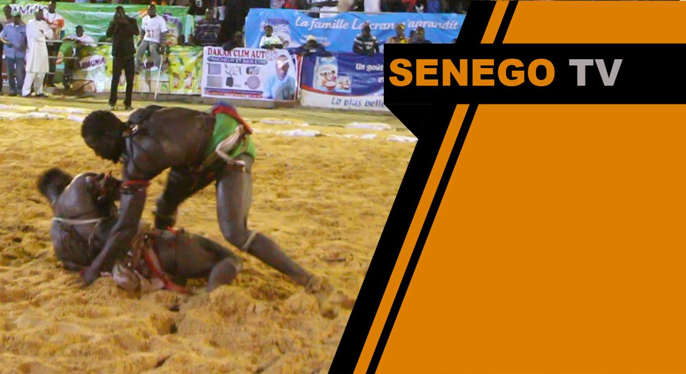 Senego TV-Lutte: Doumboul chicote Wouly 2 comme un…