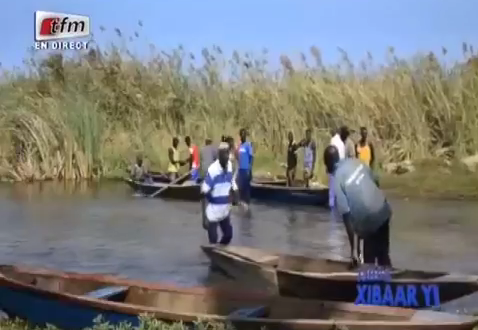 Vidéo – Ndiawdoune : un hippopotame attaque une pirogue. Regardez …