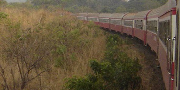 Cameroun : 03 personnes fauchées par un train à Yaoundé