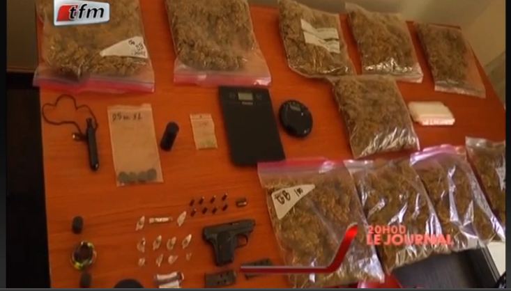 Vidéo – L’OCRTIS vient de démanteler un réseau de culture et de trafic de cannabis …