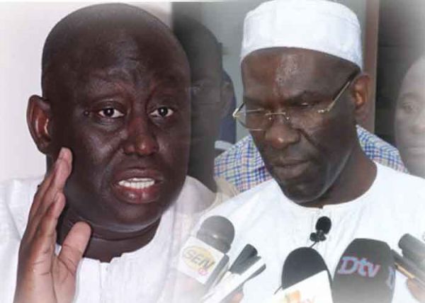 L’historien Mbaye Thiam: «Aliou Sall et Thimbo n’auraient jamais dû en arriver là… »