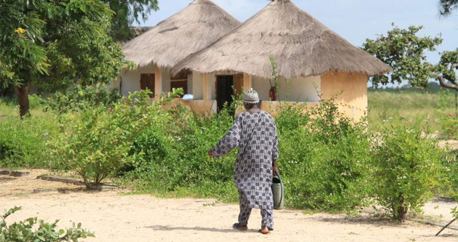 Casamance : le Ppdc a atteint un taux de décaissement de 47%