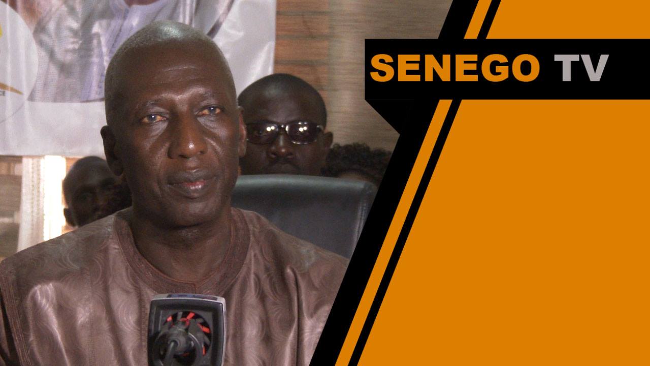 Senego TV – Cheikh Mbacke Sakho: « Je dirai à Cheikh Sidy Mokhtar de demander à Abdoulaye Wade de… »