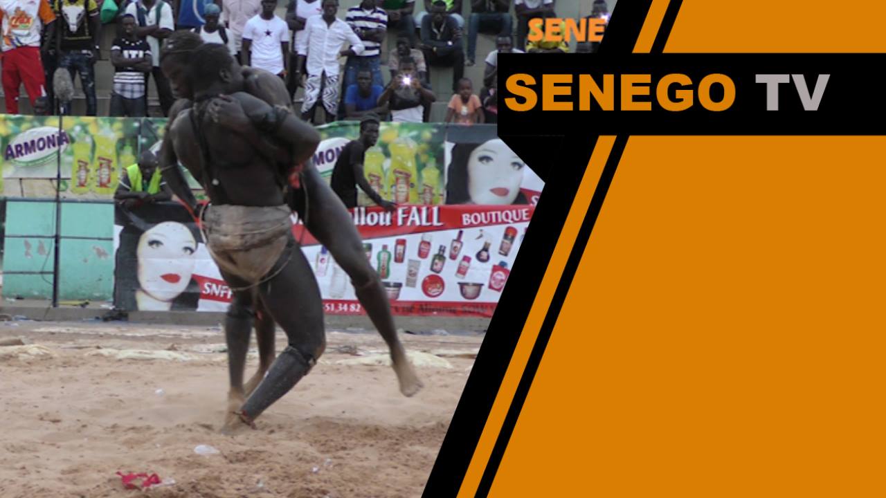 Senego TV – Lutte: Beau Gars « charme » Diaw Dine d’une superbe prise