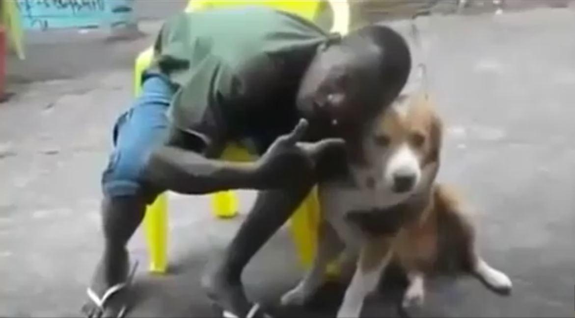 Vidéo : Voici ce qui arrive quand un africain ne cesse d’embêter un chien – Regardez.