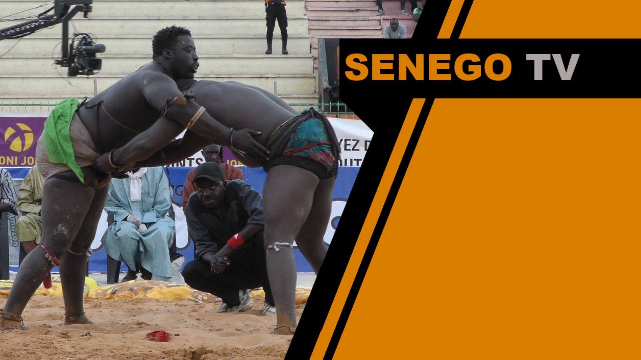 Senego TV – Lutte: Gris 2 attaque, cogne et…fait disqualifier Pakala, à revoir en version HD