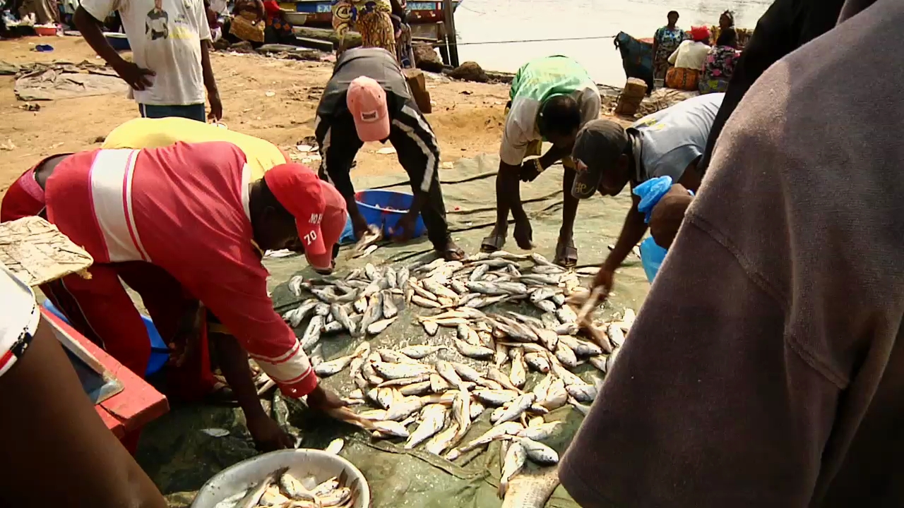 « La pêche a généré 216 milliards FCFA en fin octobre  », (Ministre)