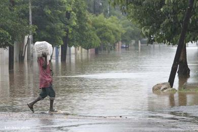 Kolda :les premières gouttes de pluie au Fouladou