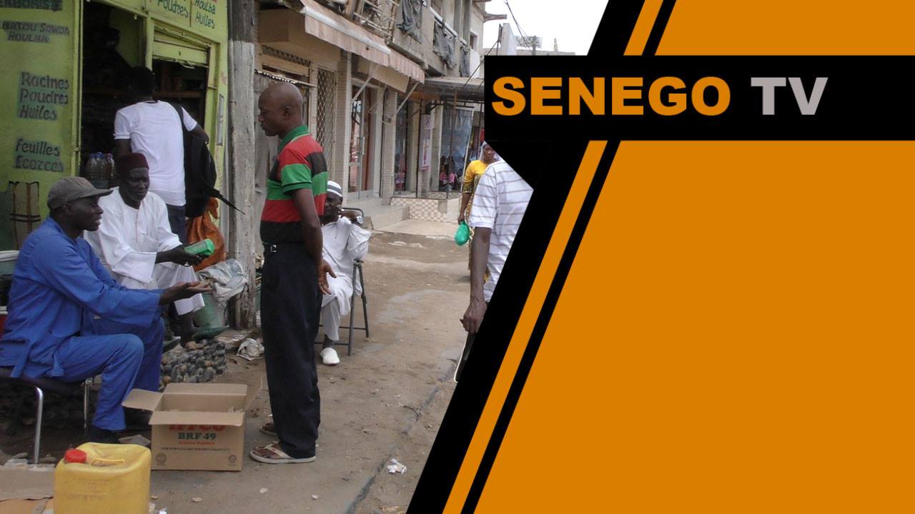 Senego TV – la rue se prononce sur les législatives : « si Macky Sall ne vole pas… »