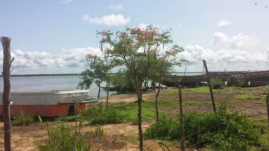 Ziguinchor : le préfet interdit la baignade sur les berges du fleuve Casamance