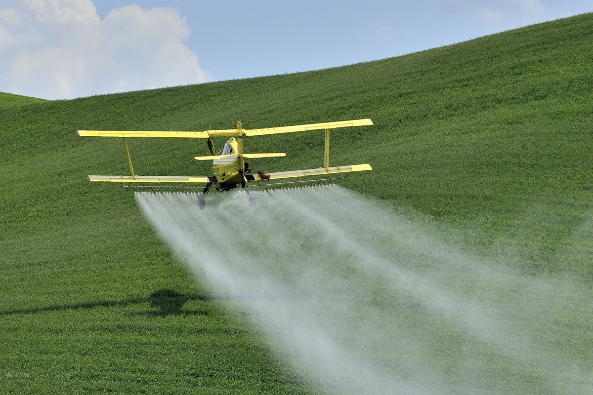 L’atrazine, un herbicide toxique et interdit exporté par la France vers l’Afrique