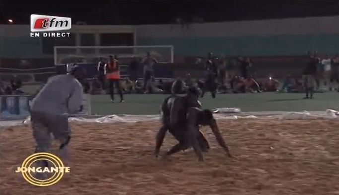 Vidéo – Cheikh Tidjane Niang : ce lutteur technique qui balaie tout sur son passage !