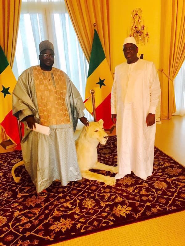 Médina Baye: Le RP de Cheikh Mansour Niass rafle la mise, réconfortant la victoire de Bby…