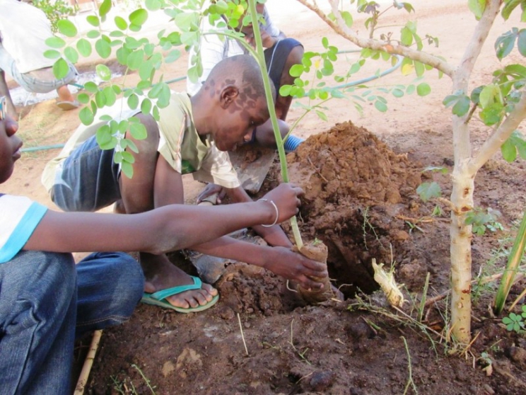 Développement durable : L’UDB et Dp World plantent 5.000 arbres