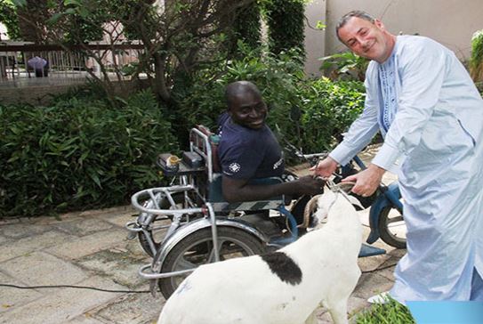 Israël offre à des sénégalais démunis des moutons pour la Tabaski