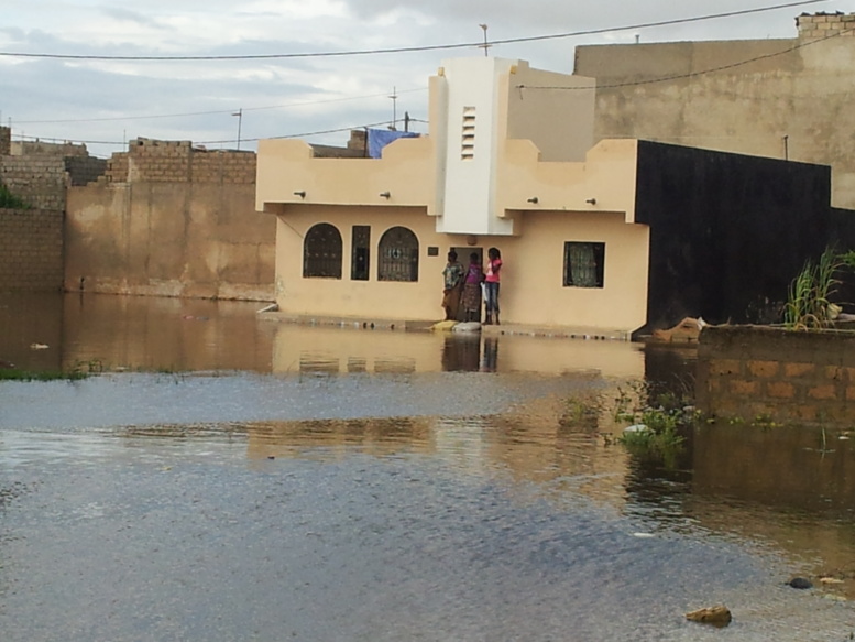 Keur Massar : Cité Castor Sotrac, entièrement inondée ce matin, plus de 50 maisons noyées !