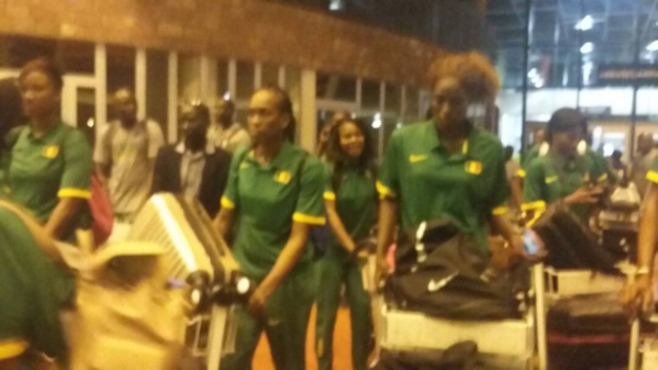 Afro Basket – Les Lionnes accueillies comme des « Reines »