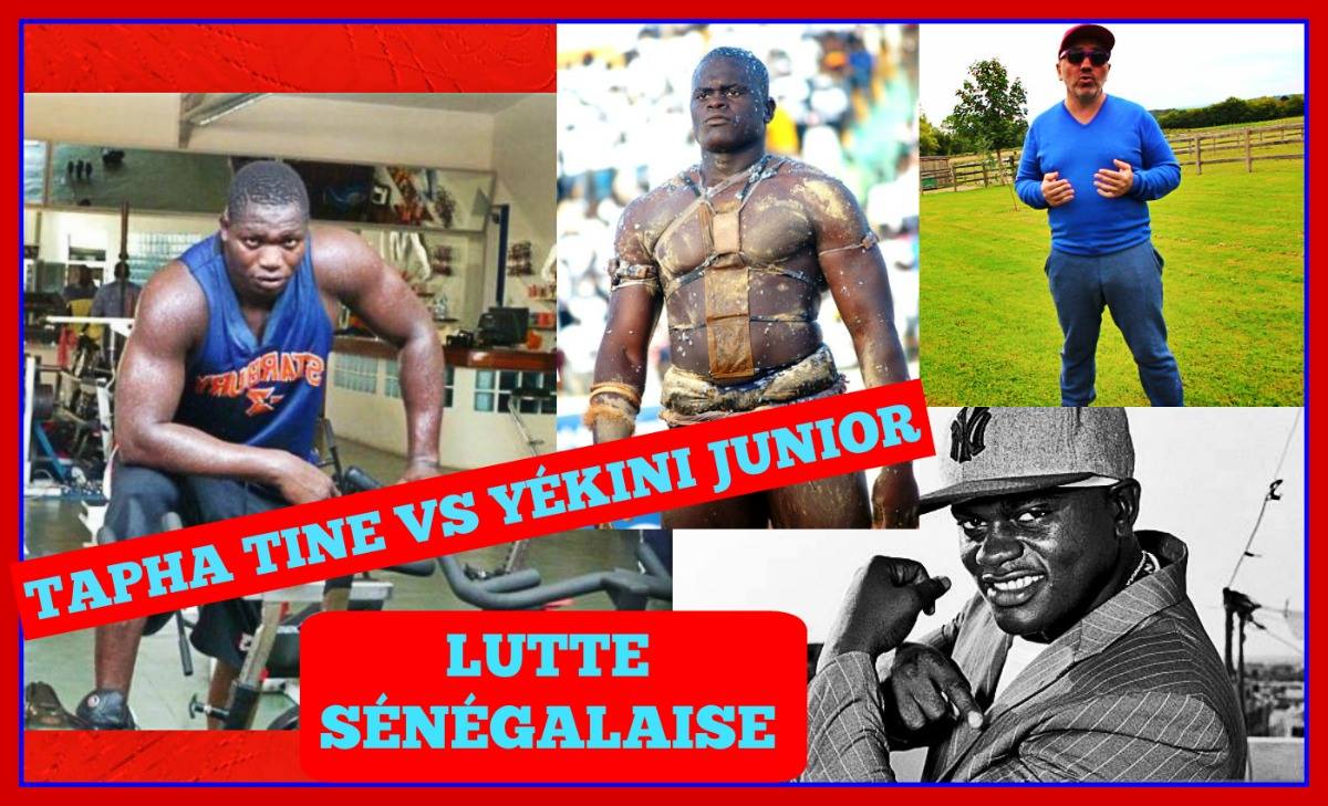 Vidéo – Lutte: Yékini Junior Vs Tapha Tine, « une Revanche Électrique », selon Coach Allouche