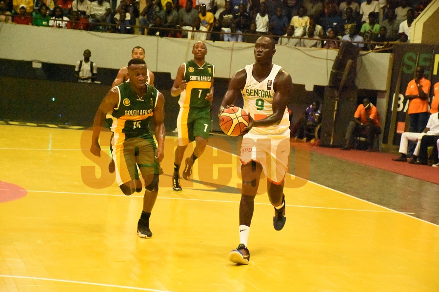 Basket: Capitaine des lions du basket, Maleye Ndoye raconte ses huit Afrobasket