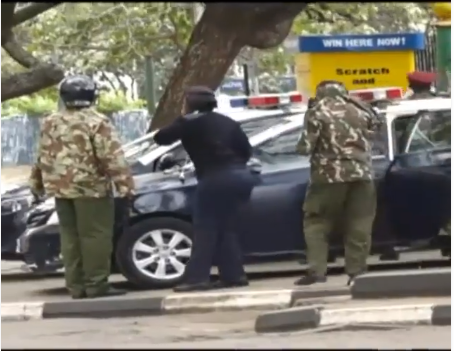 Kenya: des abeilles perturbent de nouveau un meeting du parti au pouvoir