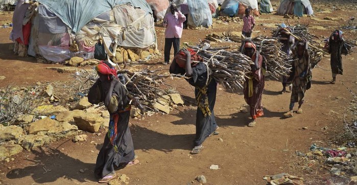 Bofa Bayotte – Mame Thierno Dieng – « Les victimes étaient des ramasseurs de bois… »