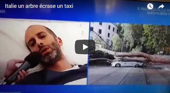 Vidéo – Italie – Un arbre manque d’écraser un taximan…au feu rouge